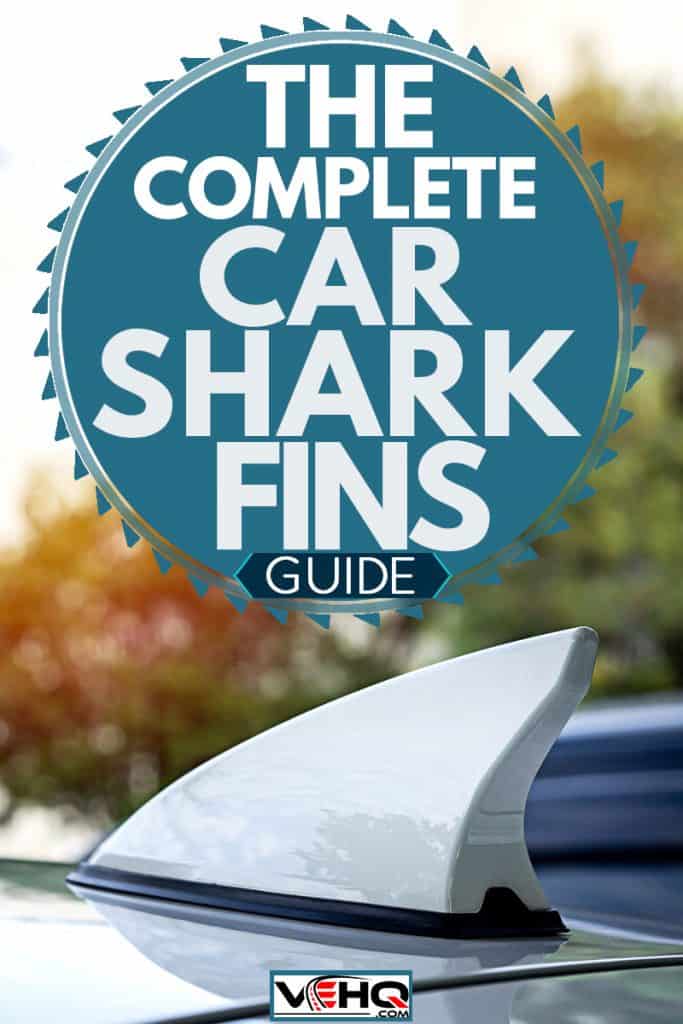 Shark Fins