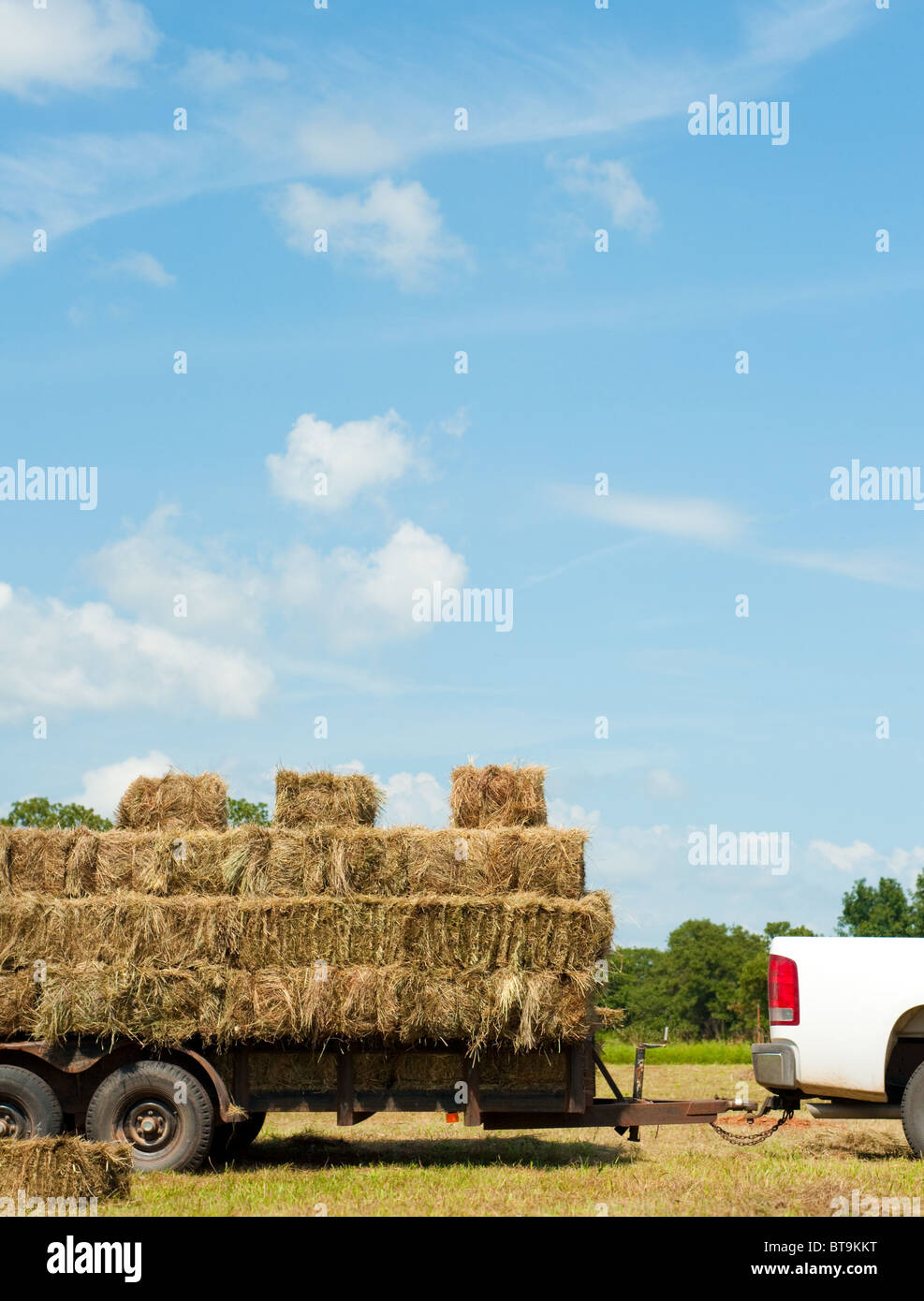 Square Hay Bale Dimensions English