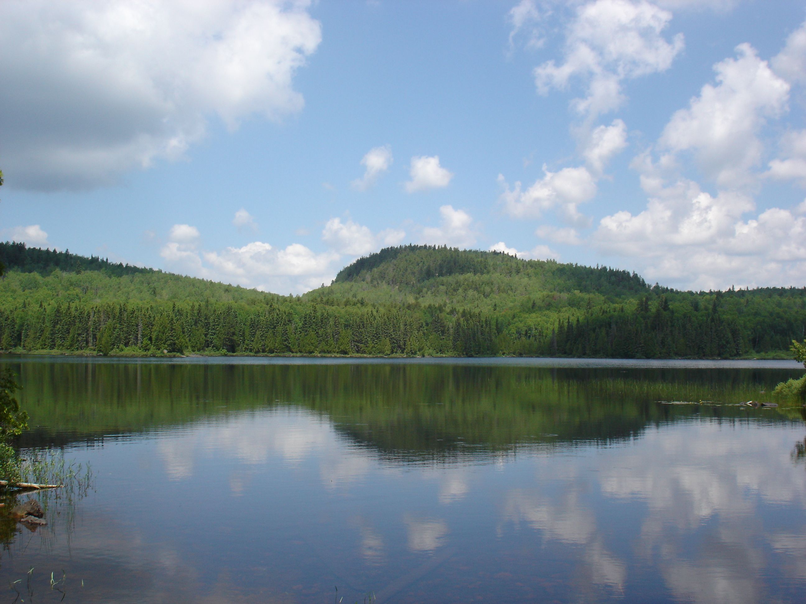 Summit Of Eagle Mountain Minnesota Image Free Stock Photo Public Domain Photo Cc0 Images