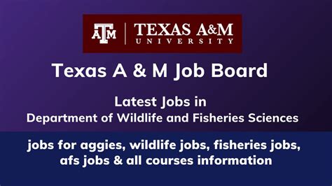 Texas Am Job Board