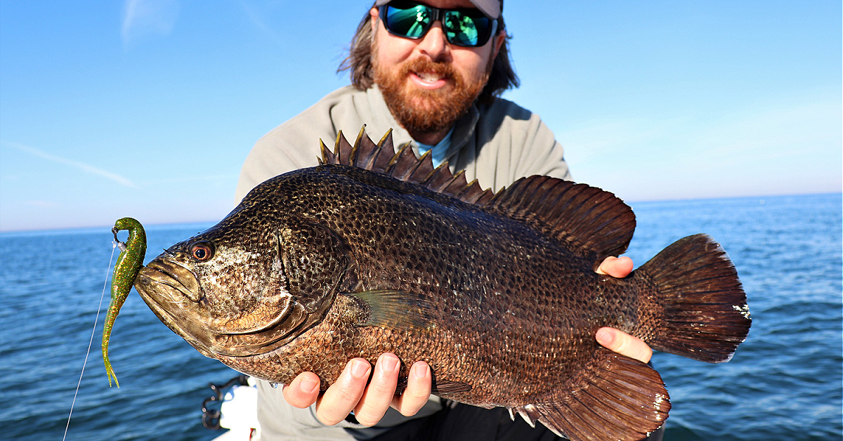 The Best Tripletail Fishing Rigs To Use In Late Fall