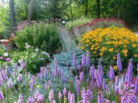 The Perfect Perennial Garden