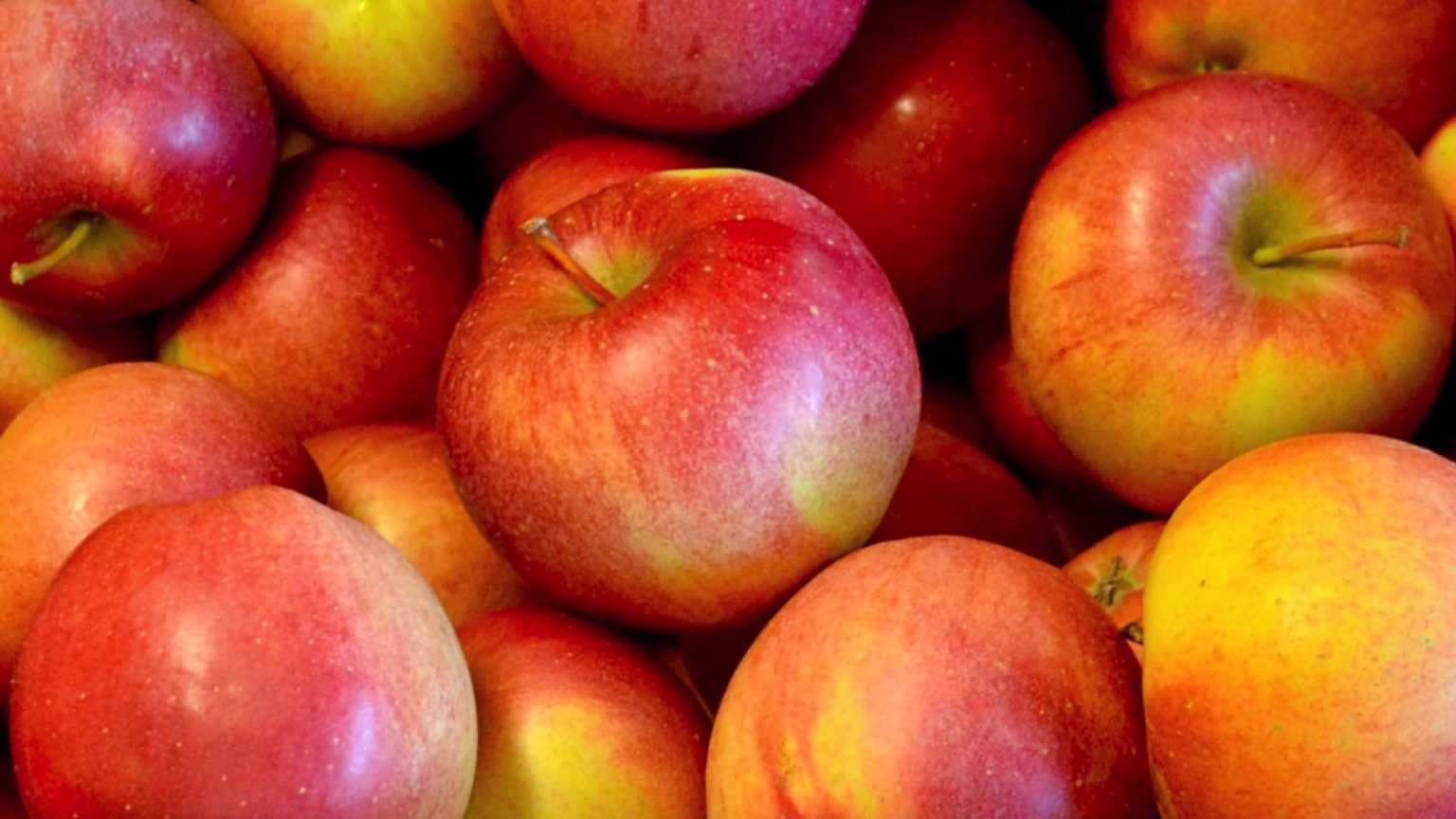 Top 10 Best Tasting Apples Corrie Cooks