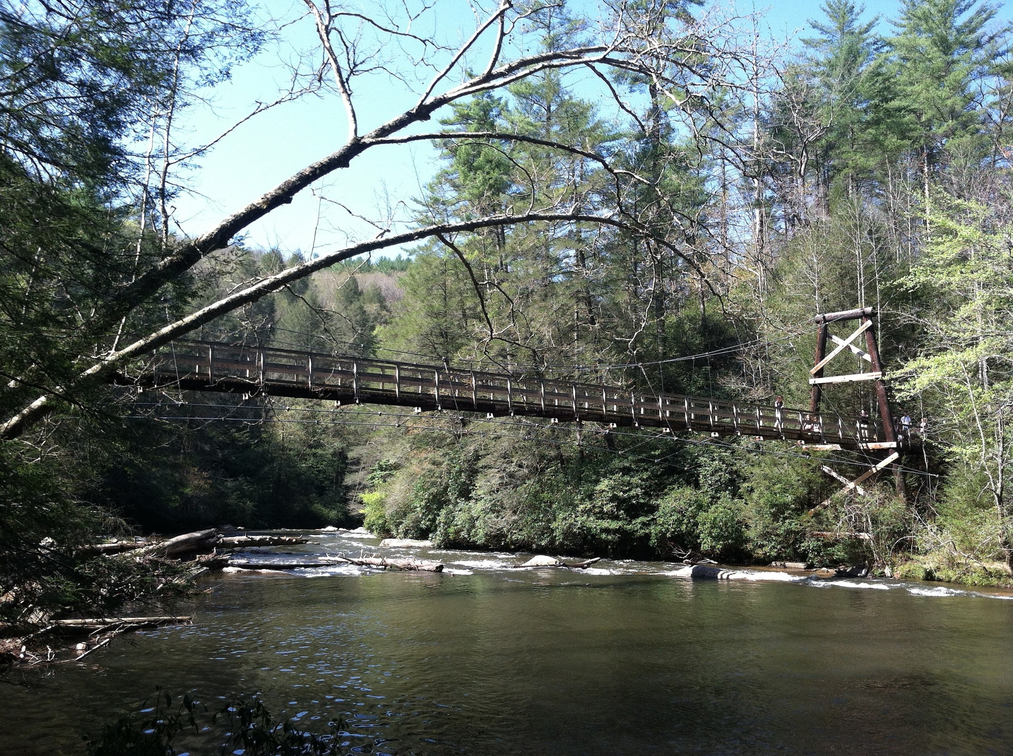 Top 5 Hikes In Blue Ridge Explore Georgia