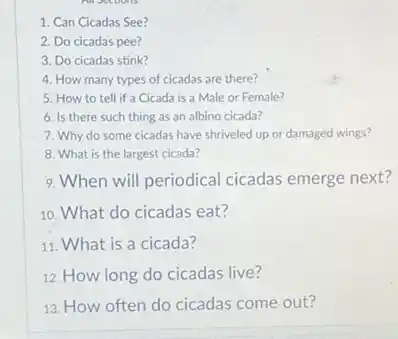 Types Of Cicadas