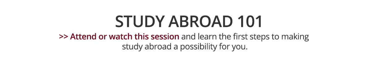 Umn Study Abroad