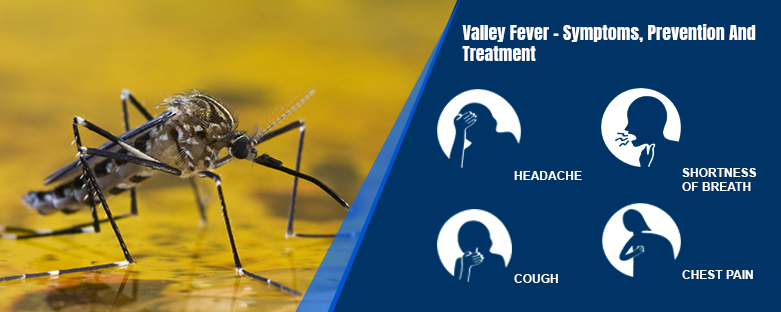 Valley Fever: Know Symptoms & Prevention