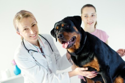 Vet Tech Training: Local Classes