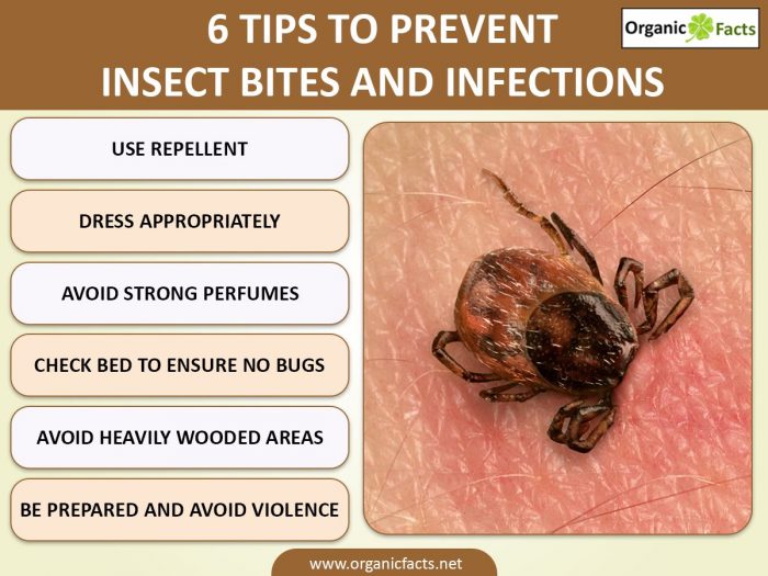 Ways To Prevent Insect Bites Gracepediatricsandfamilyclinicinc Insectbites Pediatric Care