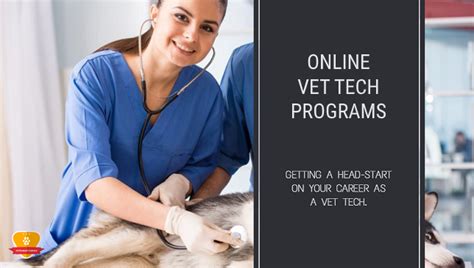 What Are Vet Tech Online Programs? Accredited Options