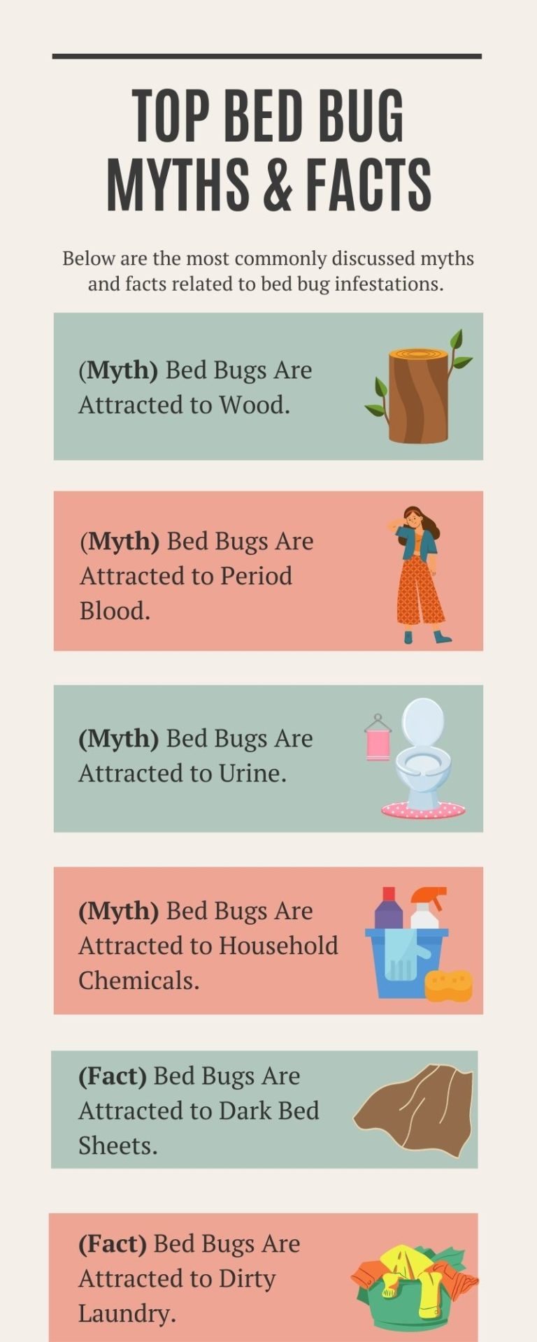 What Attracts Bed Bugs Into Your Home Food Perfume Urine