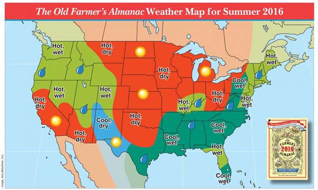 What Caused Year Without Summer? Survival Tips