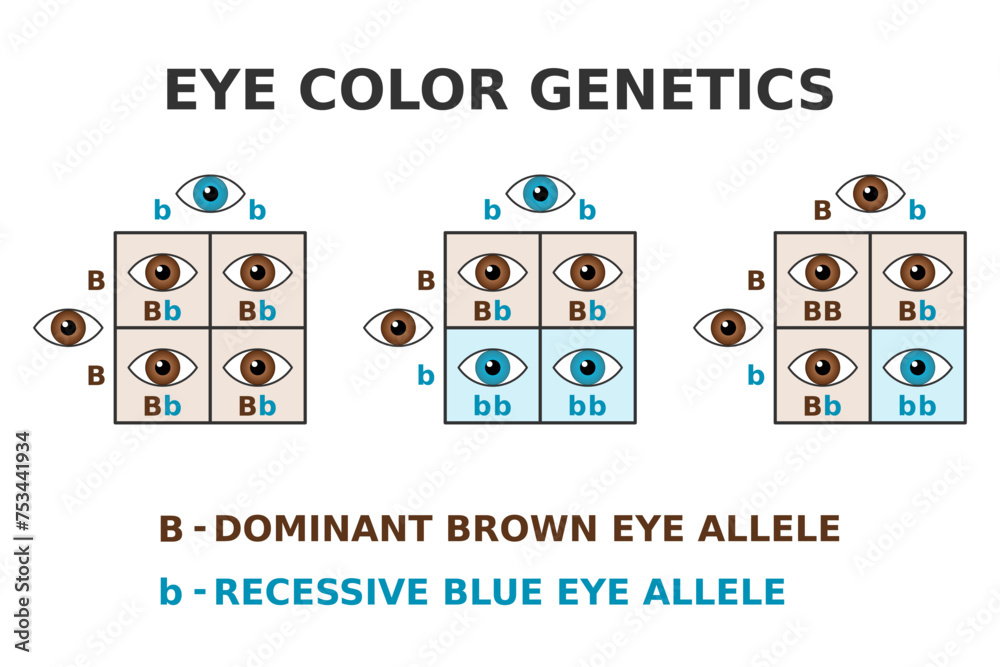 What Causes Baby Blue Eyes? Genetics Guide