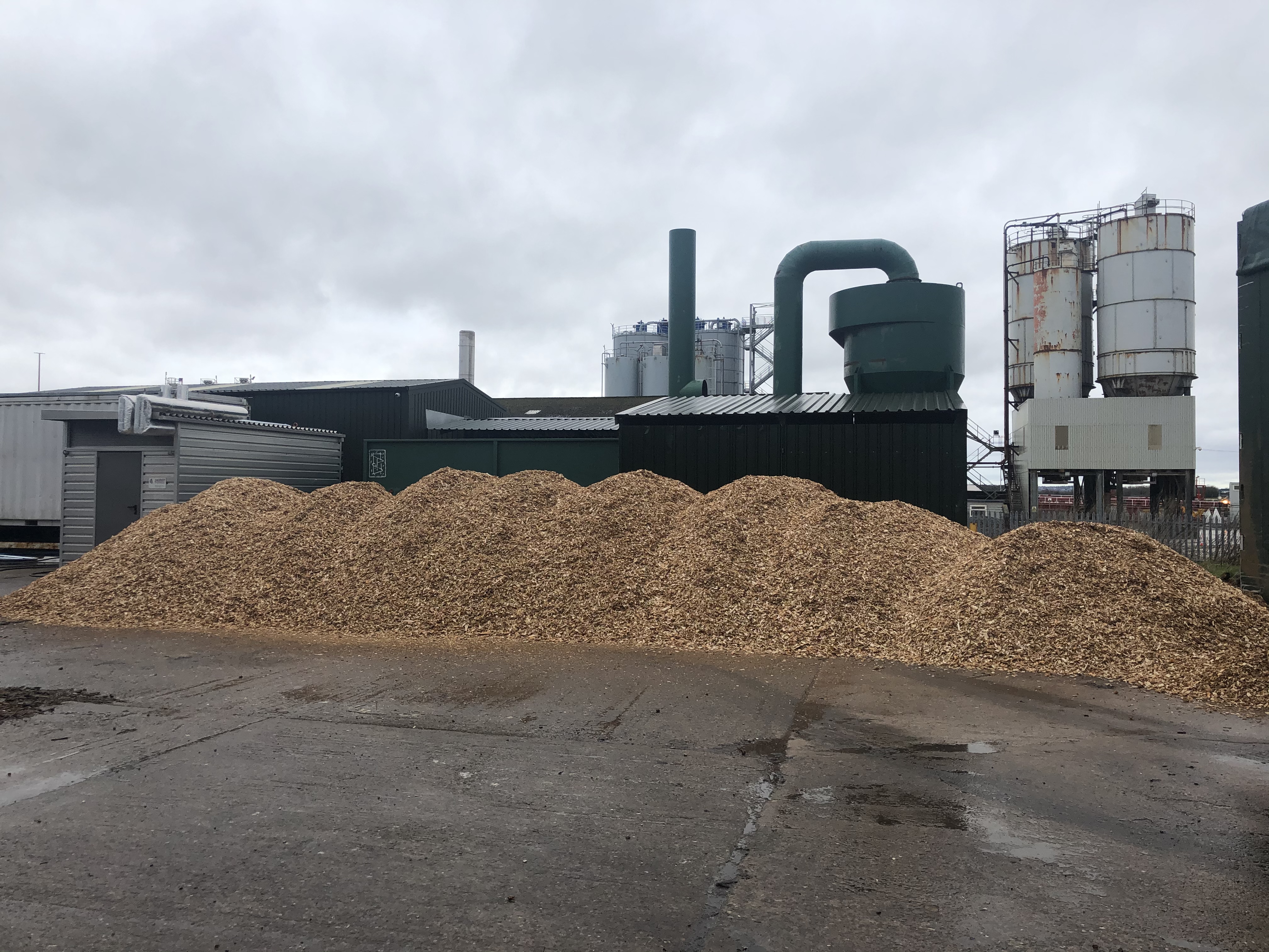 What Is Biomass How It Works Biofuture