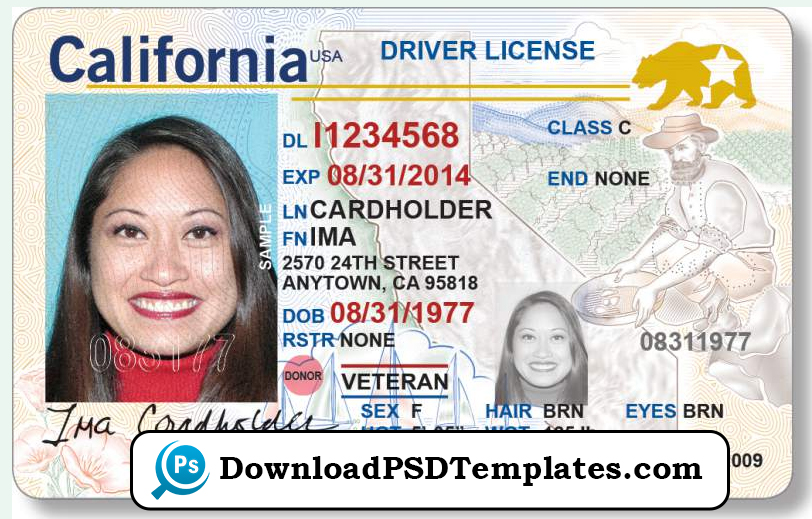 What Is Class C Driver License? Your Road Guide