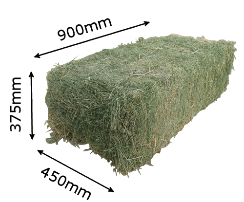 What Is Hay Bale Weight? Accurate Measurement