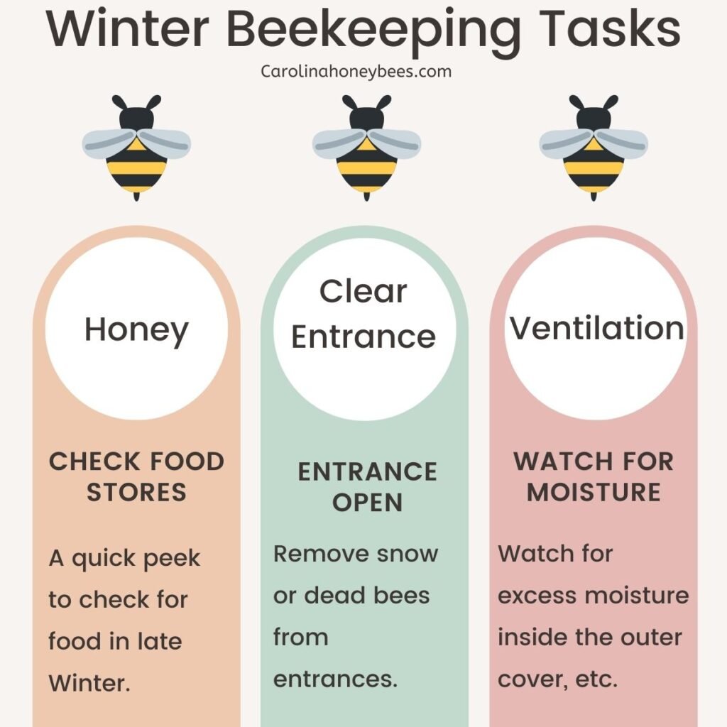 Winter Beekeeping: Thrive Guide