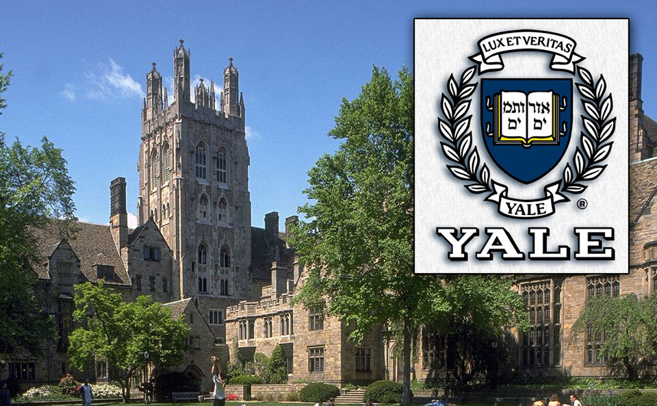 Young Yale Global Scholars