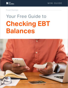 Your Free Guide To Checking Ebt Balances Opg Guides